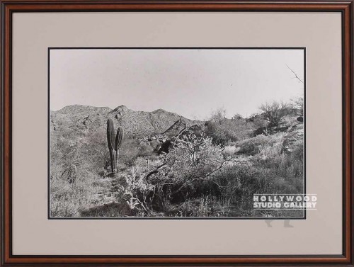 24x20 B/W Fowler Desert Pht/Mounted