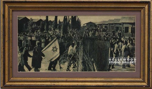 8x14 B/W Star of David Flag/Crowd