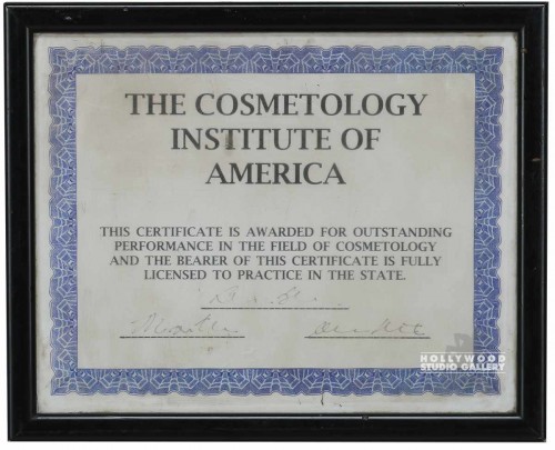 9x11 Cosmetology Lisc.Inst.of Ameri