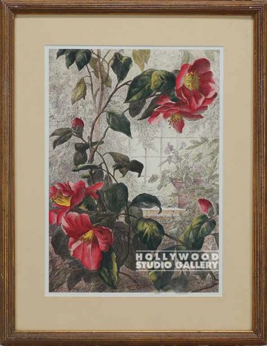 26x20 Muller Trad.Camelias/Floral