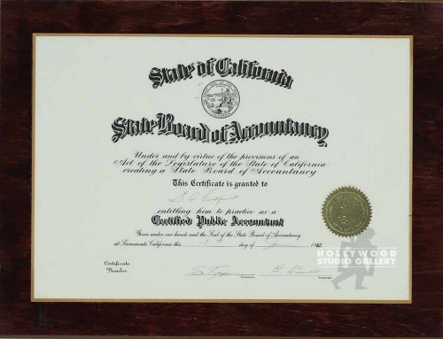 13x17 Public Accountant Wood Plaque