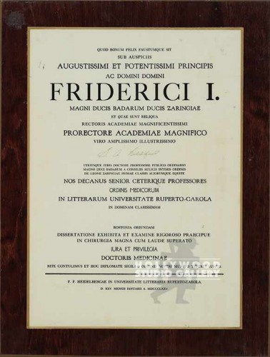 17x13 Medical Latin Wall Plaque