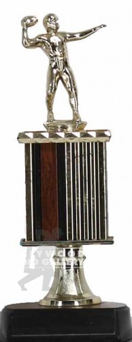 11" BRN/GOLD FOOTBALL TROPHY