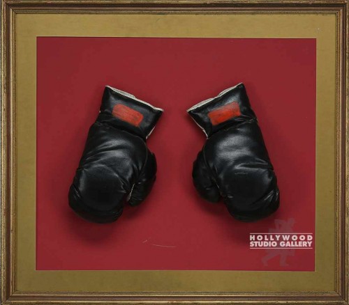 28x32 Mounted & Framed Boxing Glovs