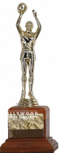 10" BASKETBALL TROPHY WOOD STAND