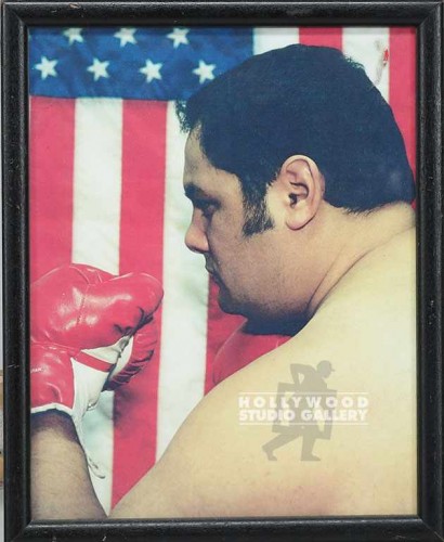 11X9 BOXER WILLY PROFILE/COLR/FLAG