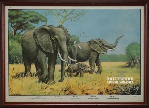 30X42 PERIOD LION CHART