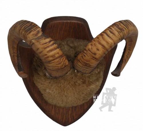 14x14" BIG HORN SHEEP PLAQUE