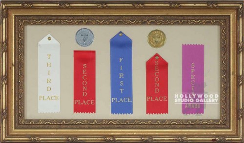 13X22 FIVE AWARD RIBBONS