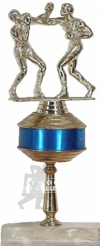 10" GENERIC BOXING TROPHY