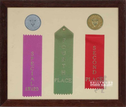 11X13 FRAMED RIBBONS