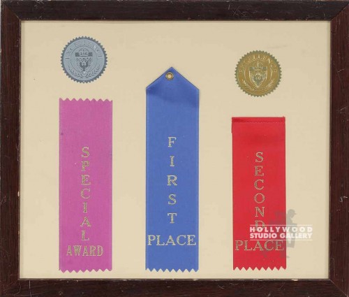 11X13 FRAMED RIBBONS