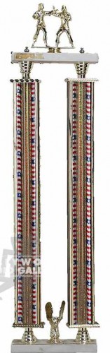 35 KARATE TROPHY RED BLUE SLIVER