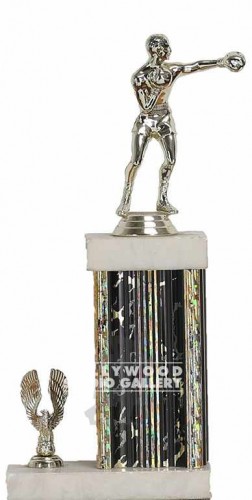 11" BOXING TROPHY