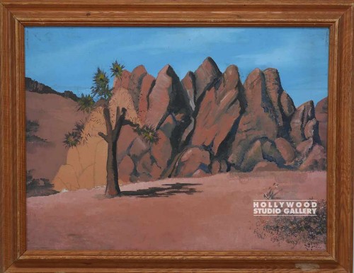 22x28 Desert Landscape Canvas Framd