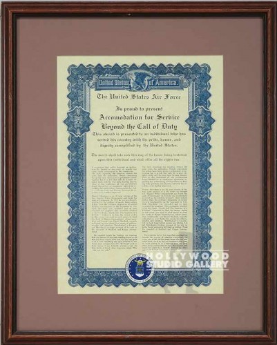 22X17 US AIR FORCE/FRAMED CERTIF