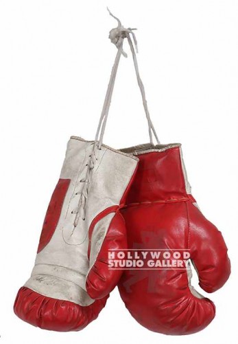 12" Red Boxing Gloves
