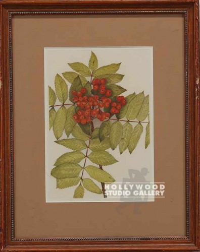 17x14 EVERGRN BOTANICAL/RED BERRIES