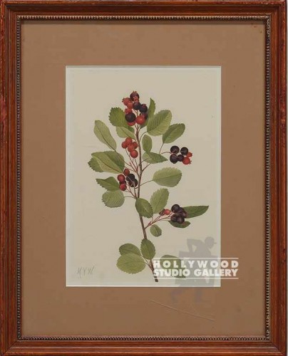 17x14 EVERGRN BOTANICAL/RED BERRIES