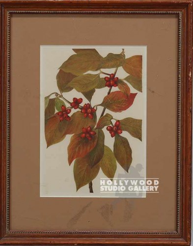 17x14 EVERGRN BOTANICAL/RED BERRIES