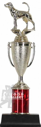 12"  DOG TROPHY