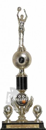 19" Basketball Trophy