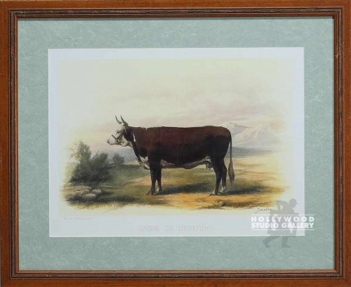 22x27 Vache De Hereford/Cow Print