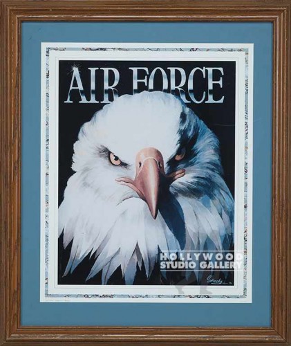 28x24 Air Force Poster Brwn Frm