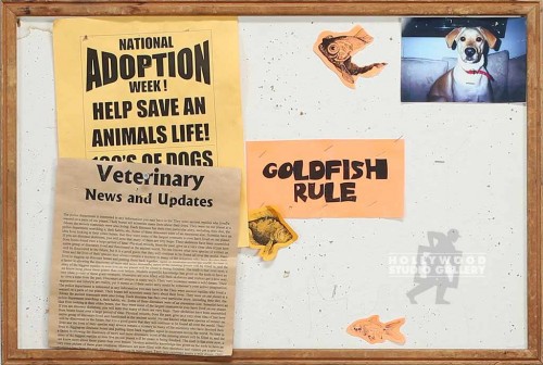 17"x25" Small Bulletin Board