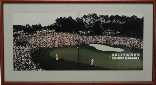 24x43 Panoramic Putt Shot/Golf