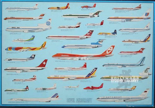 27x39 Evolution of The Airplane/Frm