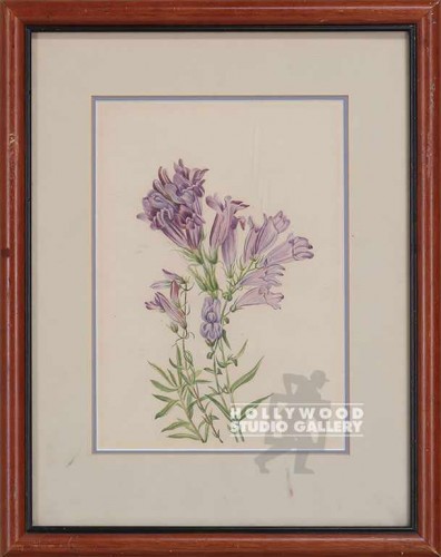 16x12 Botanical/SILVER
