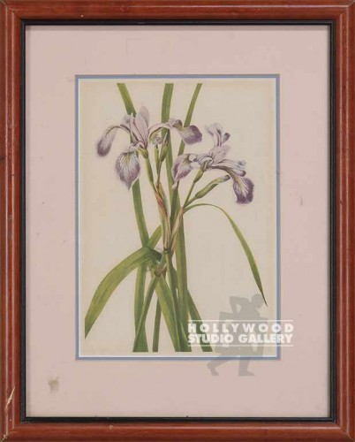 11x13 Botanical Print/SILVER