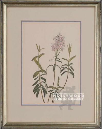 16x12 Botanical/SILVER