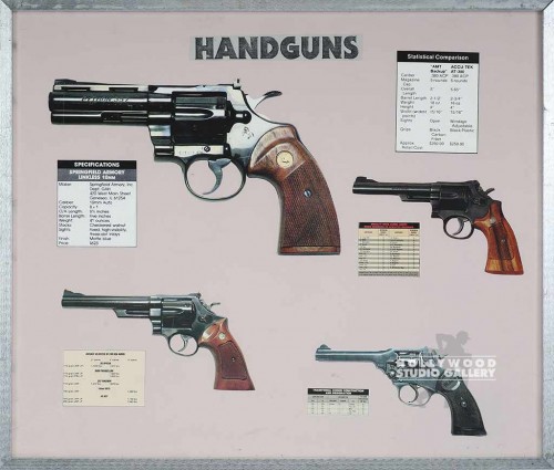26x30 HANDGUN COMPARISON/SLVR
