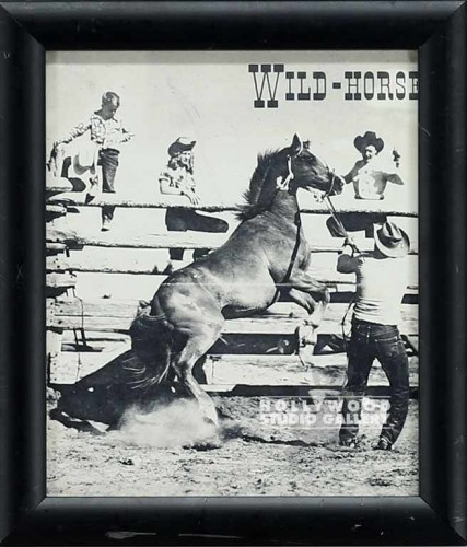 6x9 Cowboy/Horse Photograph