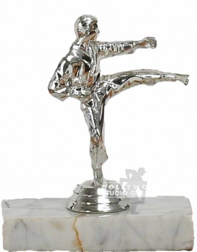 5" Karate Trophy