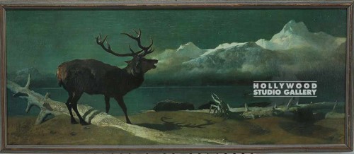 15x41 Deer & His Shadow