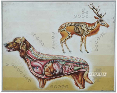 19x24 3-D Dog & Deer Chart