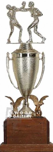 16" BOXING TROPHY