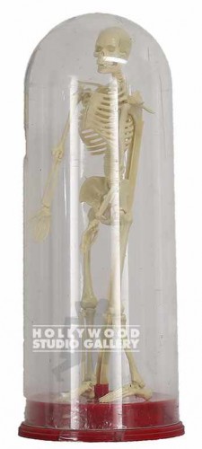 14" TALL HUMAN SKELETON UNDER GLASS