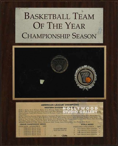 16X13 B BALL TEAM OF THE YEAR