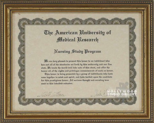 10X12 NURSING STUDY PROGRAM CERT.