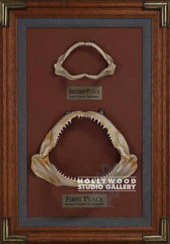 22X13.75 FRAMED SHARKS TEETH