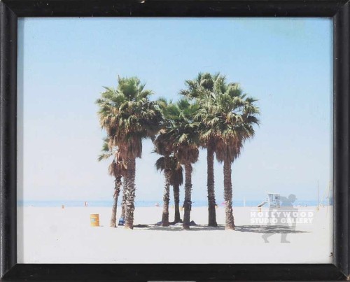 8x10 Standing Frame/Beach/Palm Tree