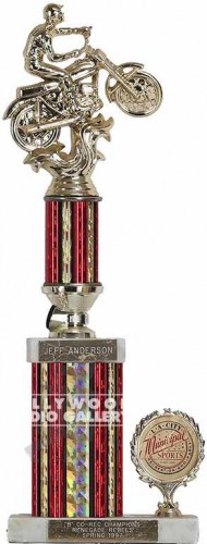 17" Motorcycle Trophy