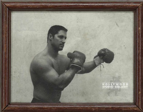 8x10 B/W BOXER/WHITE BACKGROUND