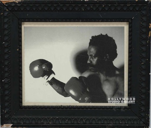 12x13 B/W BOXER