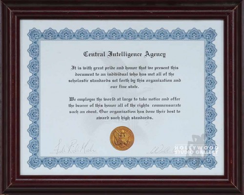 10X13 CIA CERRTIFICATE/FRAMED