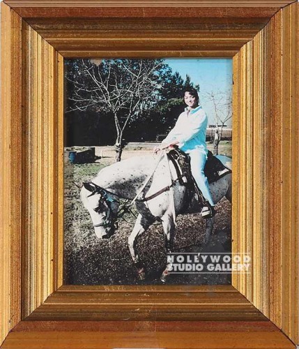 10X8 TABLETOP SUMMER ON WTE HORSE
